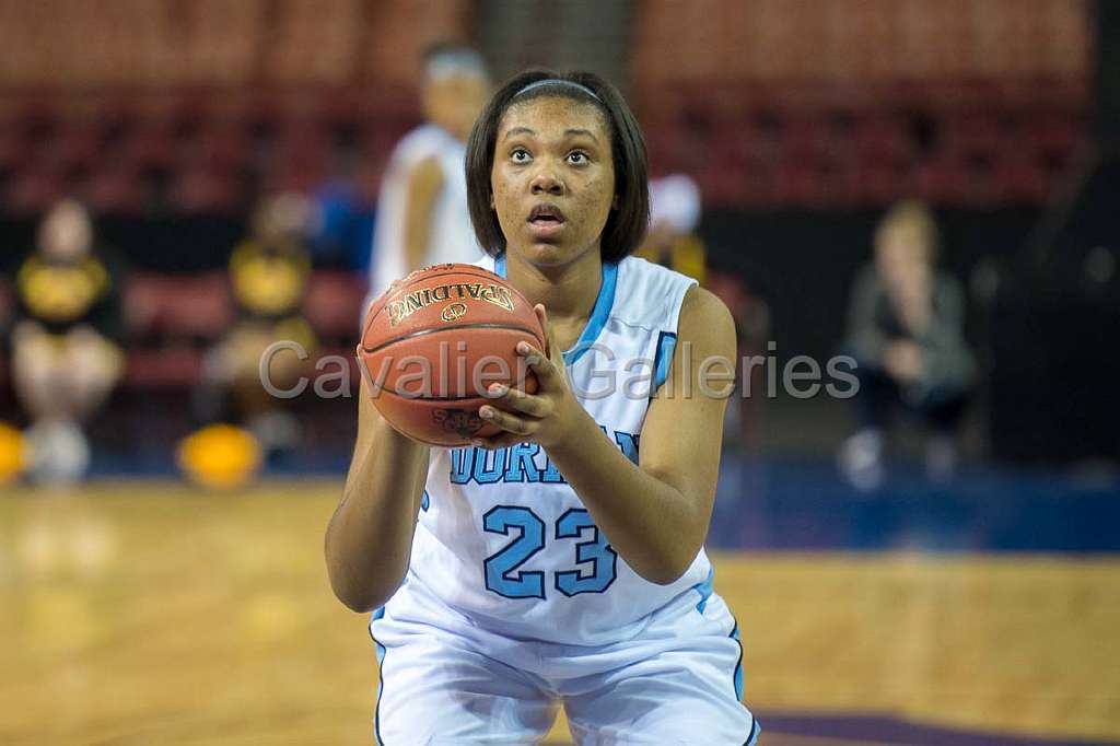 Dorman v Greenwood 174.jpg